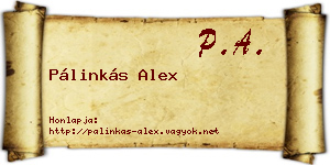 Pálinkás Alex névjegykártya